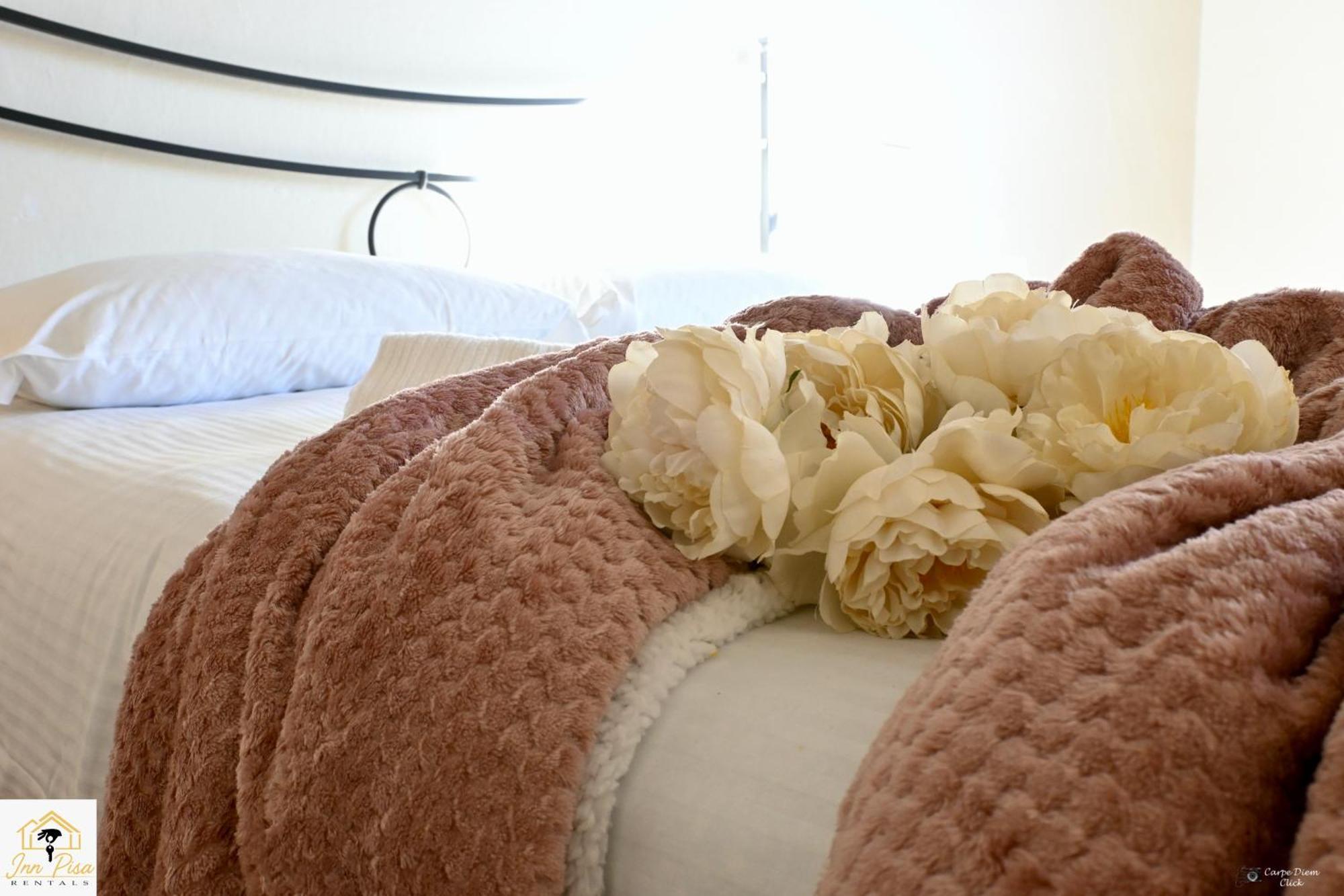 Inn Pisa Rentals 2- San Francesco Flat מראה חיצוני תמונה